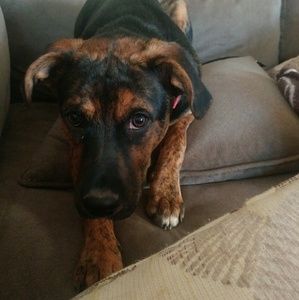 Meet your Posher, Michelle